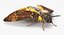 Rigged Flying Insects Collection 3