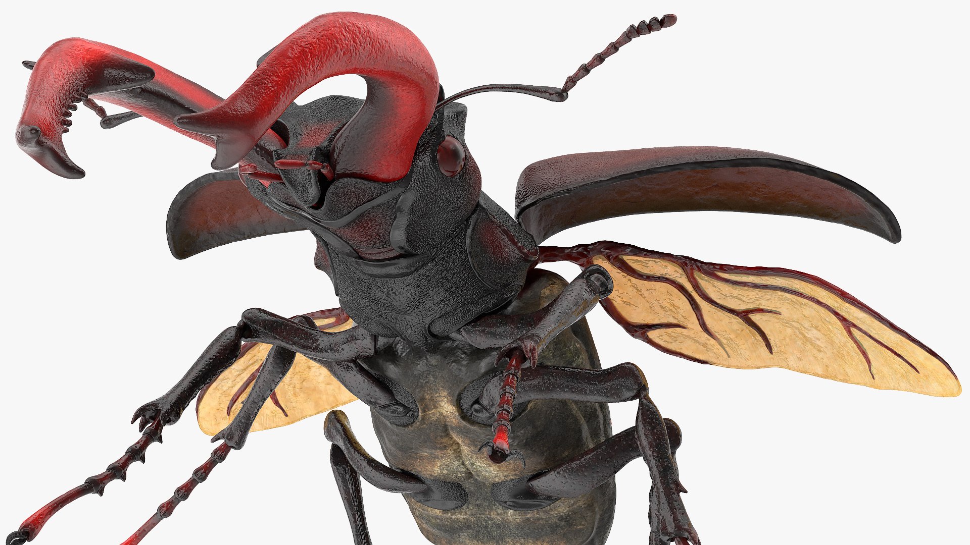 Rigged Flying Insects Collection 3 3D model https://p.turbosquid.com/ts-thumb/JQ/zY7AlO/LD/riggedflyinginsectscollection3mb3dmodel048/jpg/1670764449/1920x1080/fit_q87/aed594f7fea292f69723ef7f641b2a0b1501f74c/riggedflyinginsectscollection3mb3dmodel048.jpg