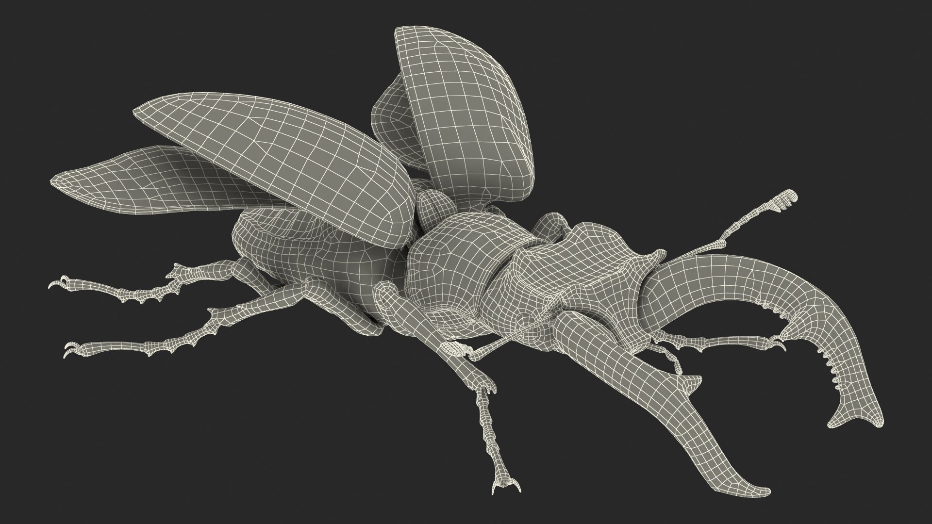 Rigged Flying Insects Collection 3 3D model https://p.turbosquid.com/ts-thumb/JQ/zY7AlO/RM/riggedflyinginsectscollection3mb3dmodel095/jpg/1670764617/1920x1080/fit_q87/2cf6b1062ab7c45a6ef3f8d07b5ced89b997dbb7/riggedflyinginsectscollection3mb3dmodel095.jpg
