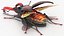 Rigged Flying Insects Collection 3
