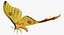 Rigged Flying Insects Collection 3