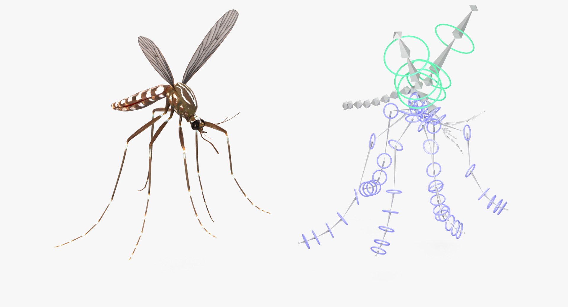 Rigged Flying Insects Collection 3 3D model https://p.turbosquid.com/ts-thumb/JQ/zY7AlO/ZX/riggedflyinginsectscollection3mb3dmodel082/jpg/1670764569/1920x1080/fit_q87/26fbf188169383b6c715368f60ff0be7256b418d/riggedflyinginsectscollection3mb3dmodel082.jpg