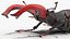 Rigged Flying Insects Collection 3