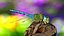 Rigged Flying Insects Collection 3