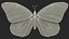 Rigged Flying Insects Collection 3