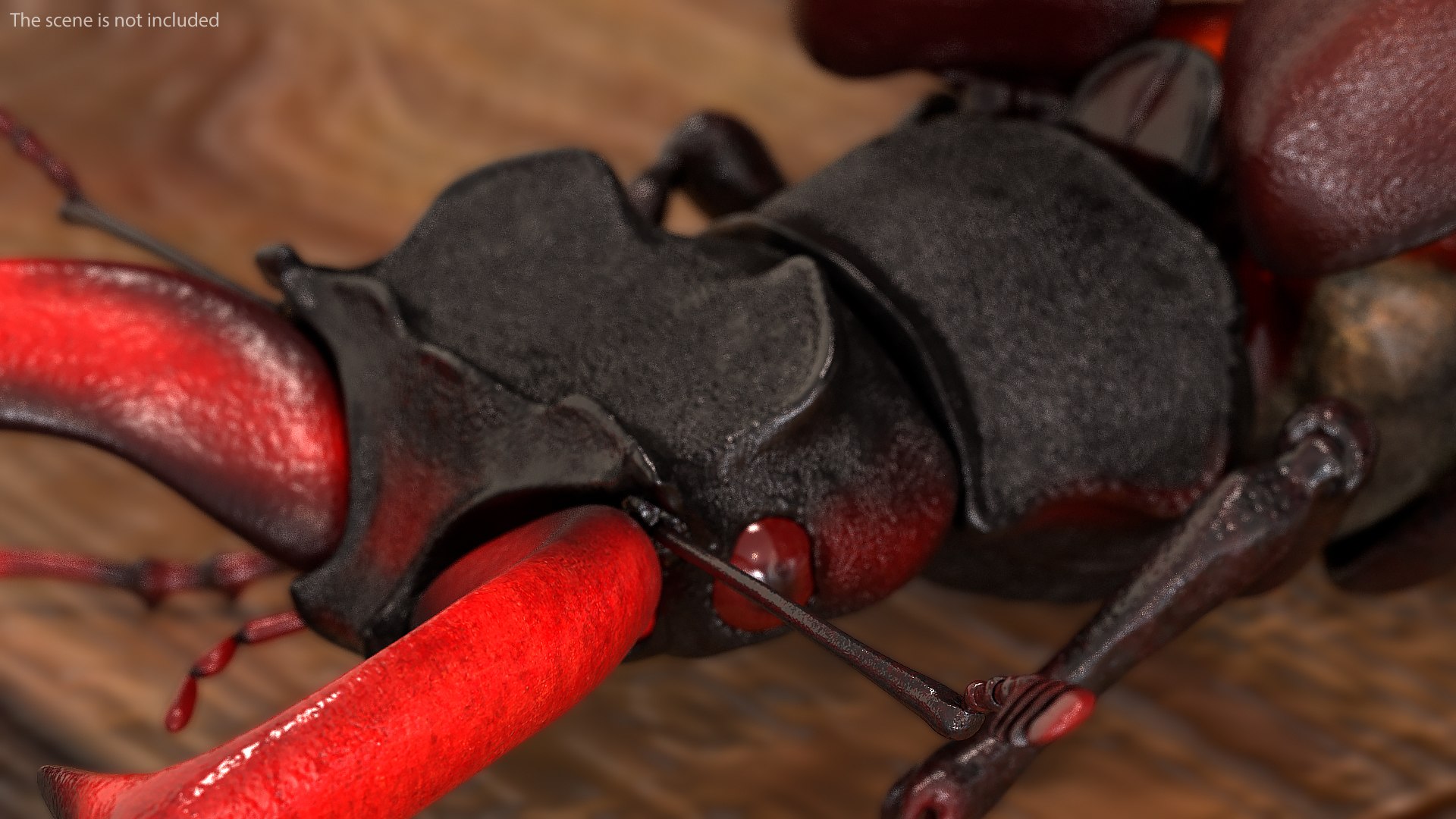 Rigged Flying Insects Collection 3 3D model https://p.turbosquid.com/ts-thumb/JQ/zY7AlO/nc/riggedflyinginsectscollection3mb3dmodel039/jpg/1670764414/1920x1080/fit_q87/876ef04b24da303ecb1a2fef7df157d29c3ea015/riggedflyinginsectscollection3mb3dmodel039.jpg
