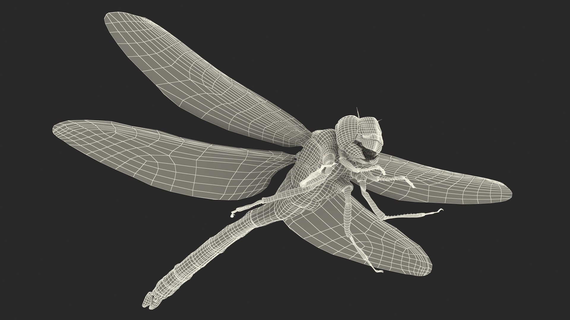 Rigged Flying Insects Collection 3 3D model https://p.turbosquid.com/ts-thumb/JQ/zY7AlO/o5/riggedflyinginsectscollection3mb3dmodel093/jpg/1670764610/1920x1080/fit_q87/7d434ed7fc6abca4b28963d67626e0c332f76427/riggedflyinginsectscollection3mb3dmodel093.jpg