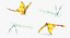 Rigged Flying Insects Collection 3