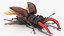 Rigged Flying Insects Collection 3