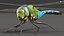 Rigged Flying Insects Collection 3