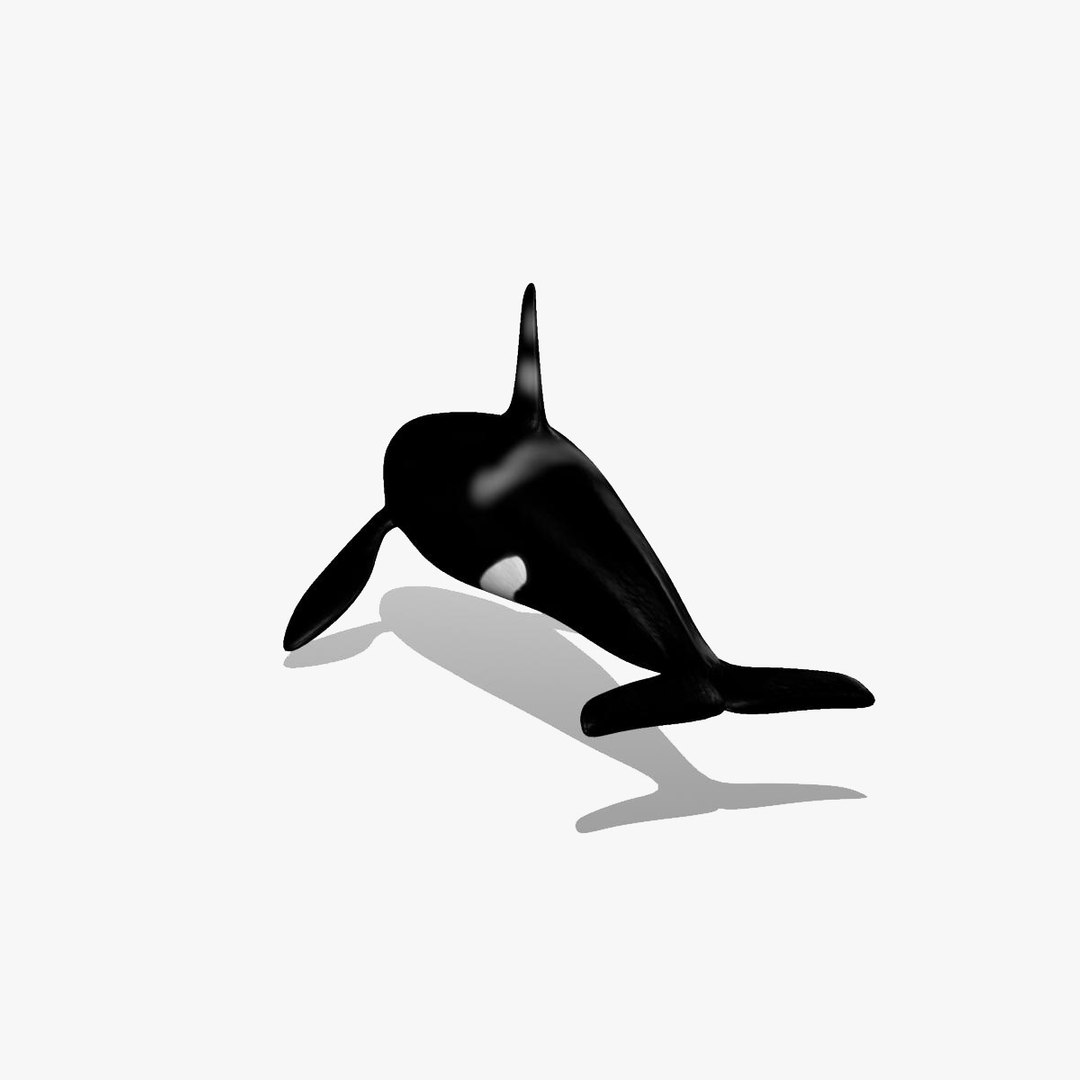 3d 3ds orca killer whale https://p.turbosquid.com/ts-thumb/JR/36X2NG/5n8E3pM6/orca0015/jpg/1315890005/1920x1080/fit_q87/588e972f094f34fb43c4e50ccf3d89b93f1769a2/orca0015.jpg