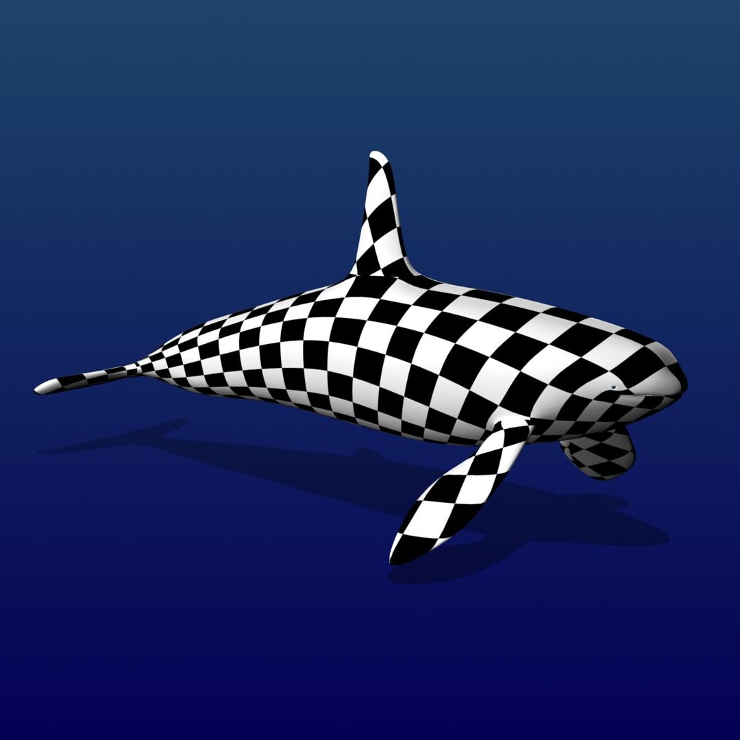 3d 3ds orca killer whale https://p.turbosquid.com/ts-thumb/JR/36X2NG/5vgfMFNt/prev_checker/jpg/1315478052/1920x1080/fit_q87/155fb8d644f6e9d9dbea1355dae545232cd0ccc3/prev_checker.jpg