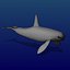 Orca
