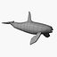 Orca