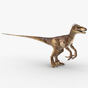 Velociraptor (2) (Animated)