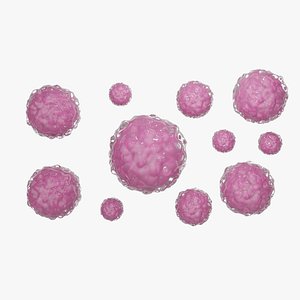 Microscopic Biological Cells model