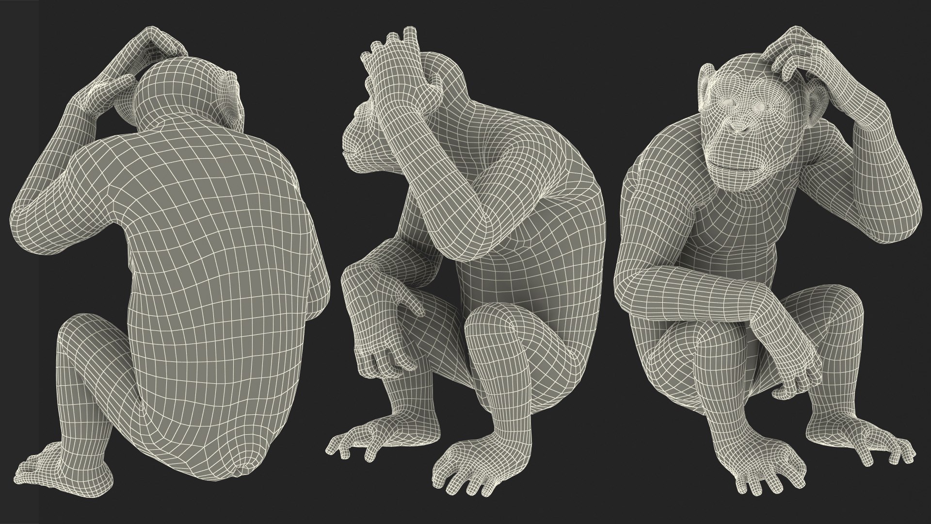 Dark Chimpanzee Sitting Pose Model - TurboSquid 1438206