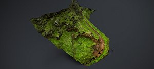 THE HILLSIDE LANDSCAPE 2023 3D model