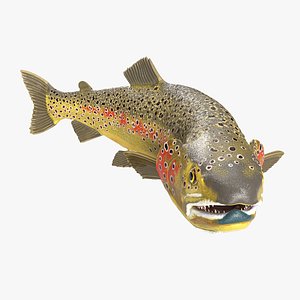 Brown Trout Fish Rigged for Maya 3D model