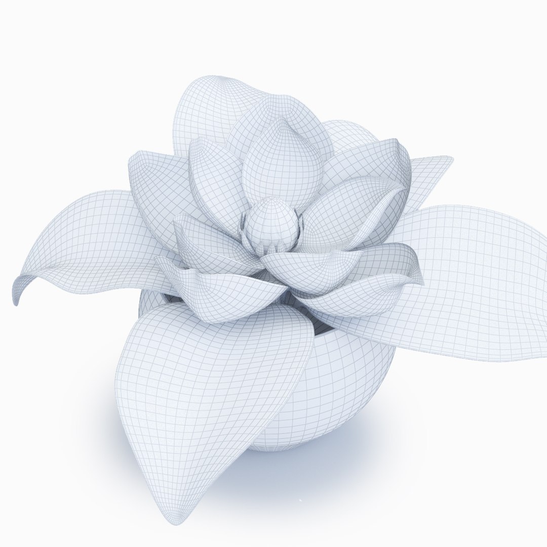 magnolia decorative interior max https://p.turbosquid.com/ts-thumb/JR/oqITH6/oqbErT5b/magnolia_view02w/jpg/1487879728/1920x1080/fit_q87/dd1752e3b59da43f3f5419db7d653897498533ee/magnolia_view02w.jpg