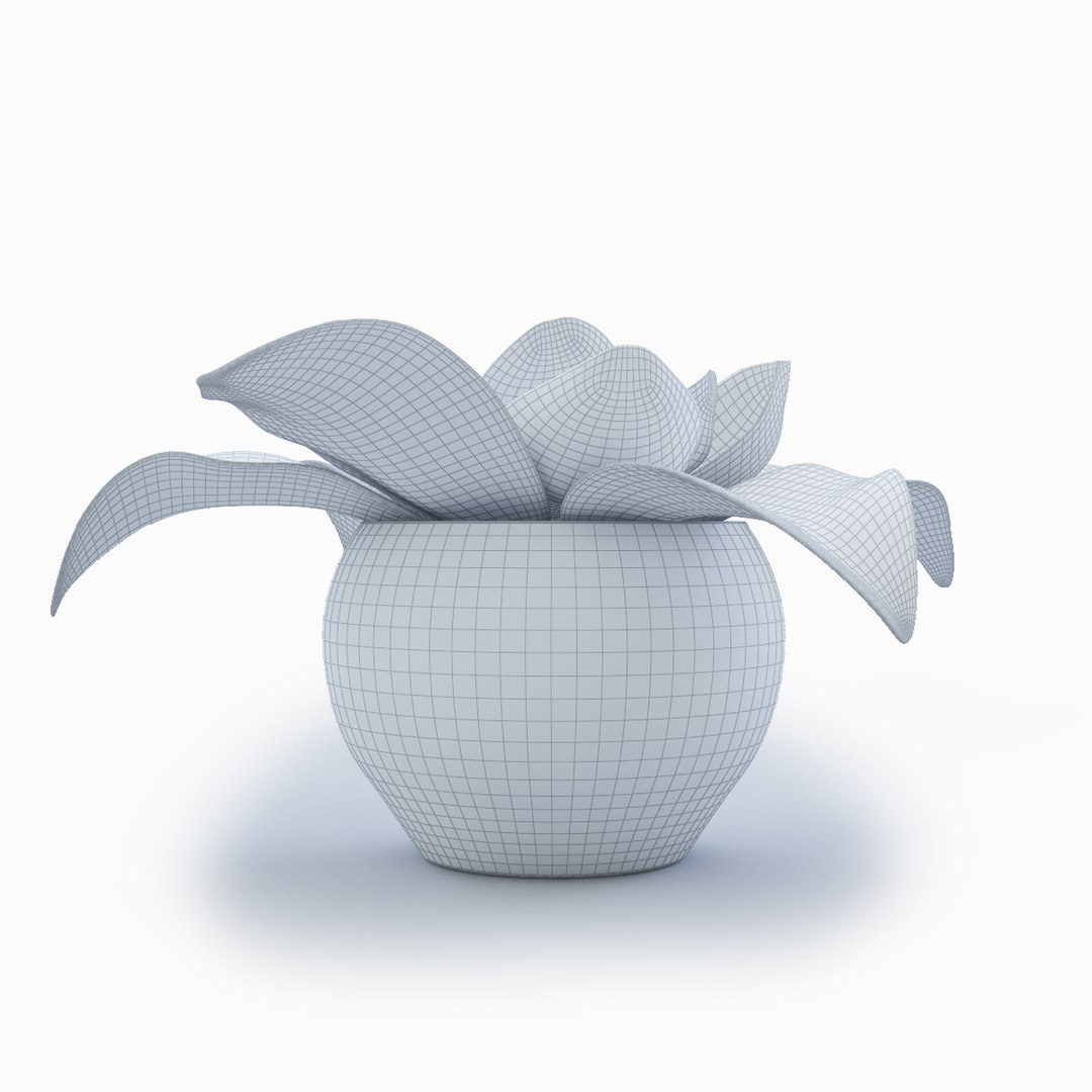 magnolia decorative interior max https://p.turbosquid.com/ts-thumb/JR/oqITH6/qEBCERXJ/magnolia_view03w/jpg/1487879728/1920x1080/fit_q87/d2820540f53c99a87b2b66051cfcfc6ed8d2cc74/magnolia_view03w.jpg