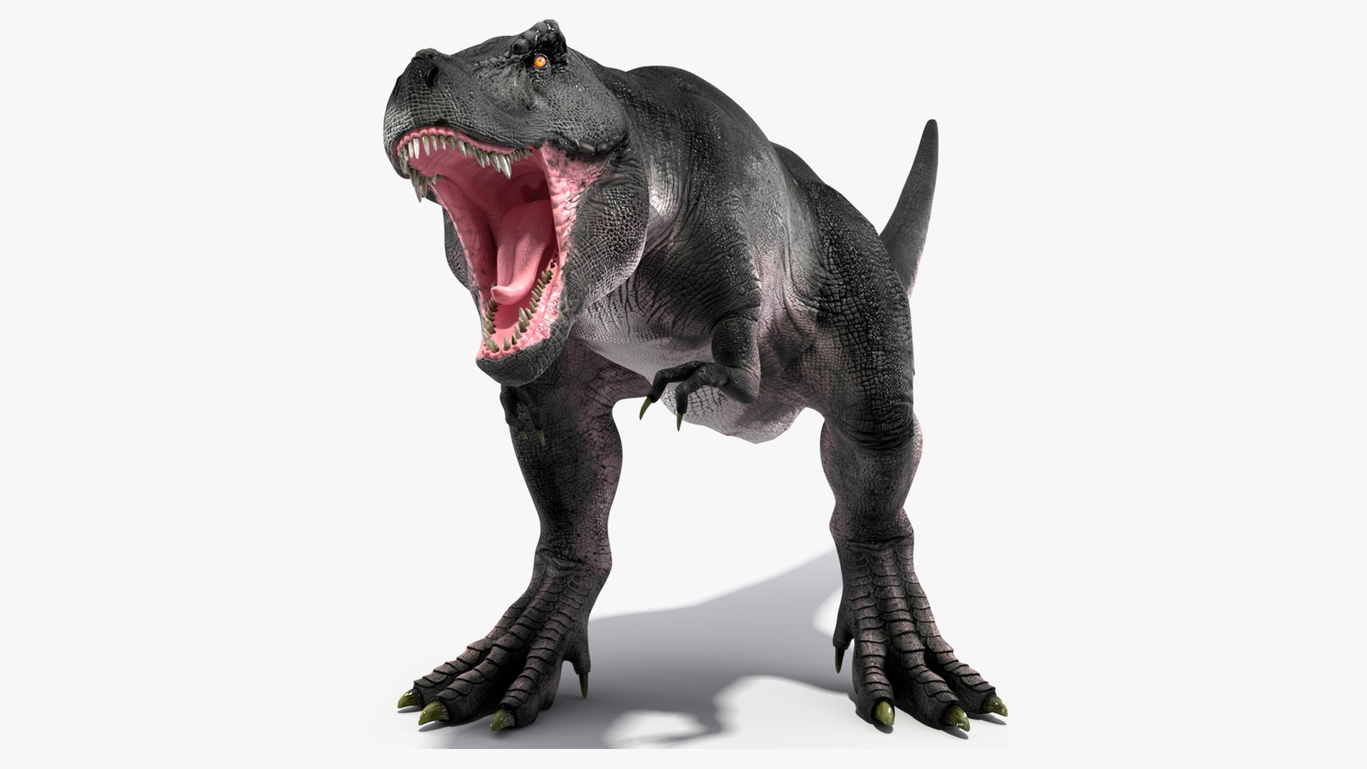 Desenhos animados colecionáveis T-Rex Modelo 3D - TurboSquid 1101619