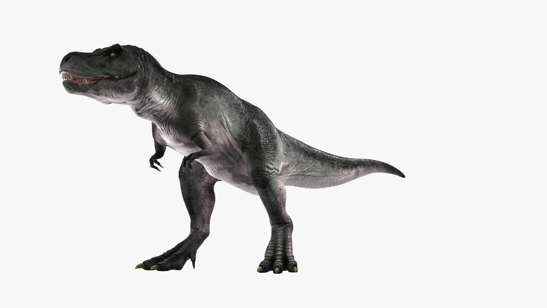 T Rex Running Animated Rigged for Cinema 4D 3D Model $179 - .c4d - Free3D