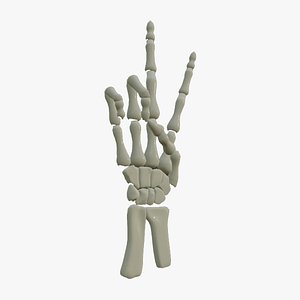 Skeleton Hand 3D model