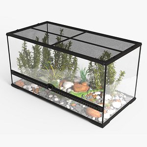 Exotic Animals Long Terrarium with Pair of Iguanas