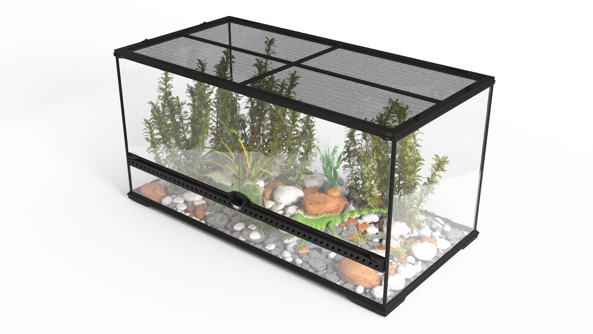 Exotic Animals Long Terrarium with Pair of Iguanas 3D model preview