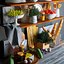Tableware decor set