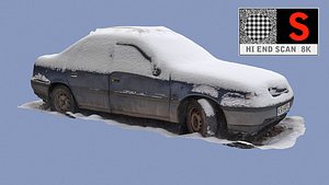 3d old car snow model