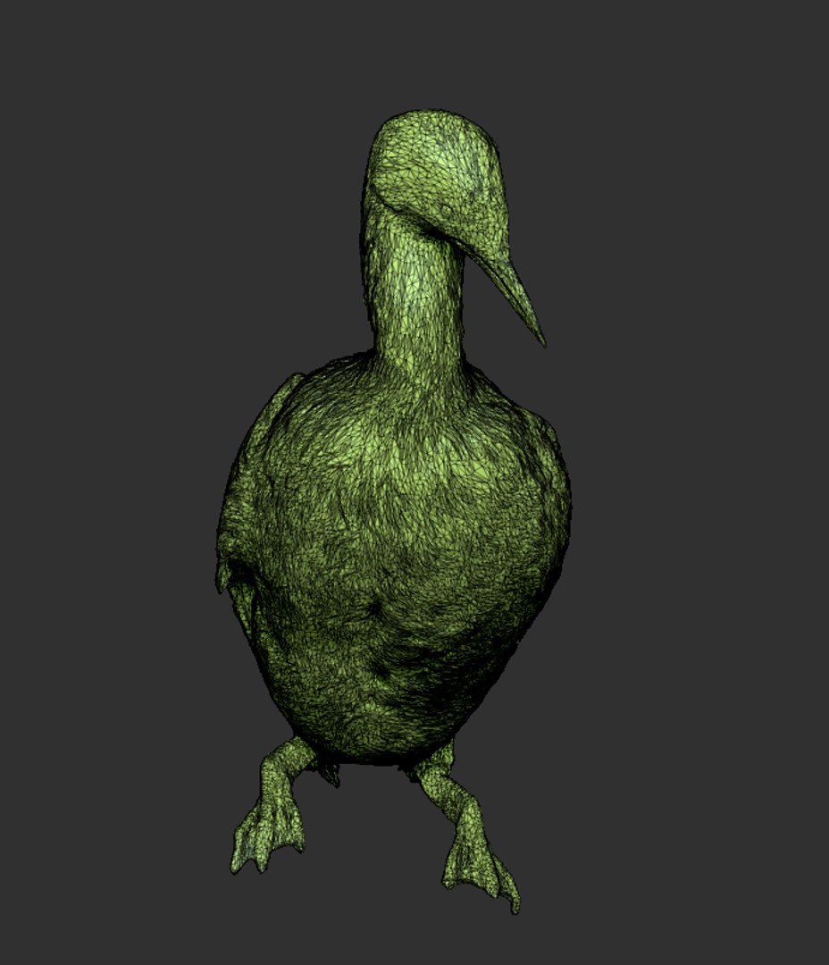 Common Loon 08 3D - TurboSquid 1737055