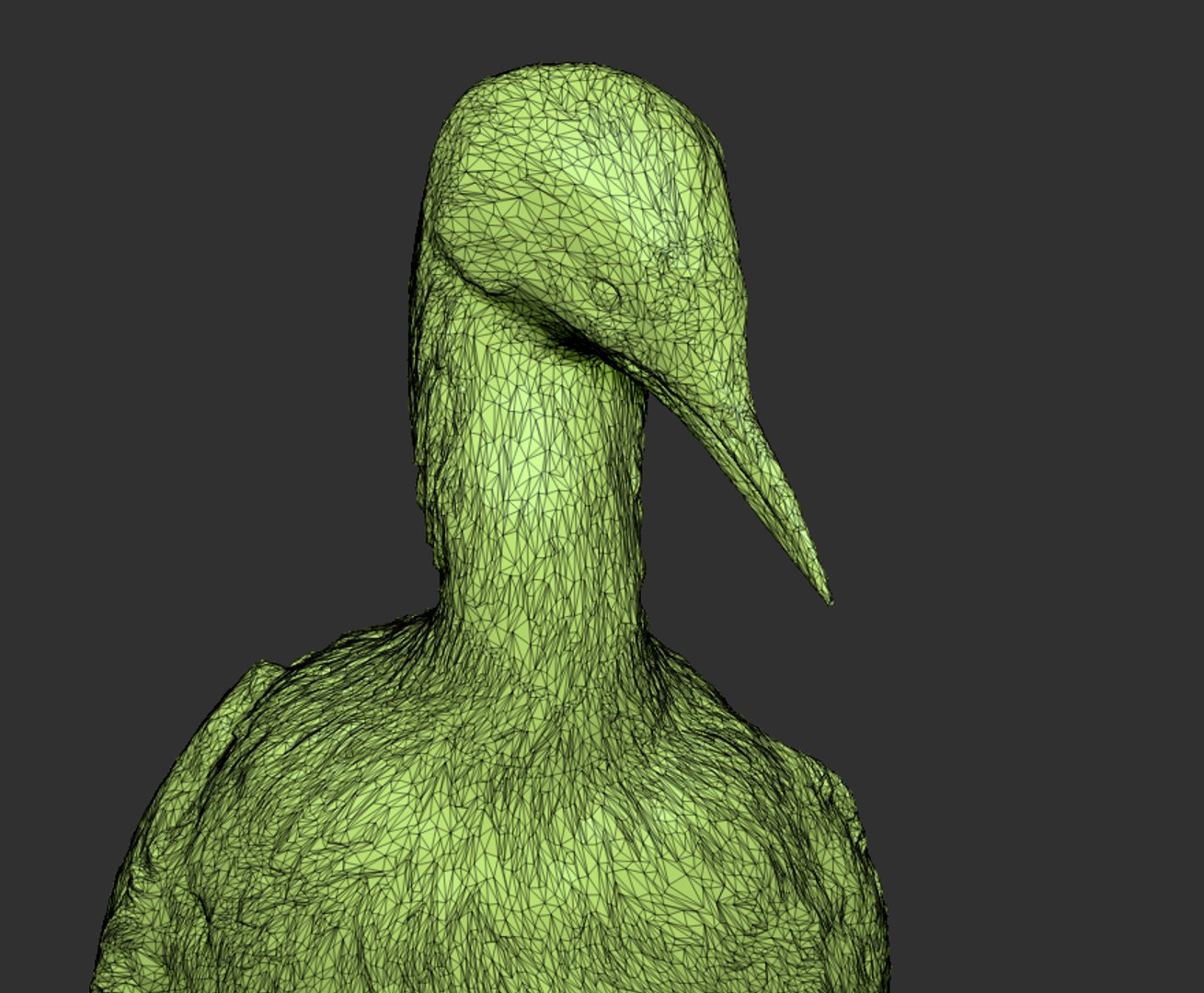 Common Loon 08 3D - TurboSquid 1737055