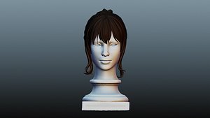 Female hair 3D