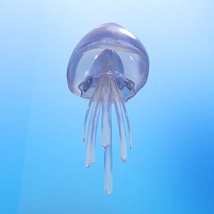 Jelly fish (animated loop)