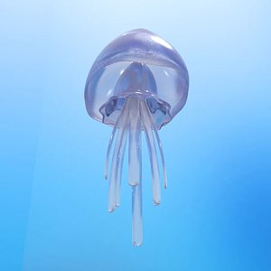 Jelly fish (animated loop)