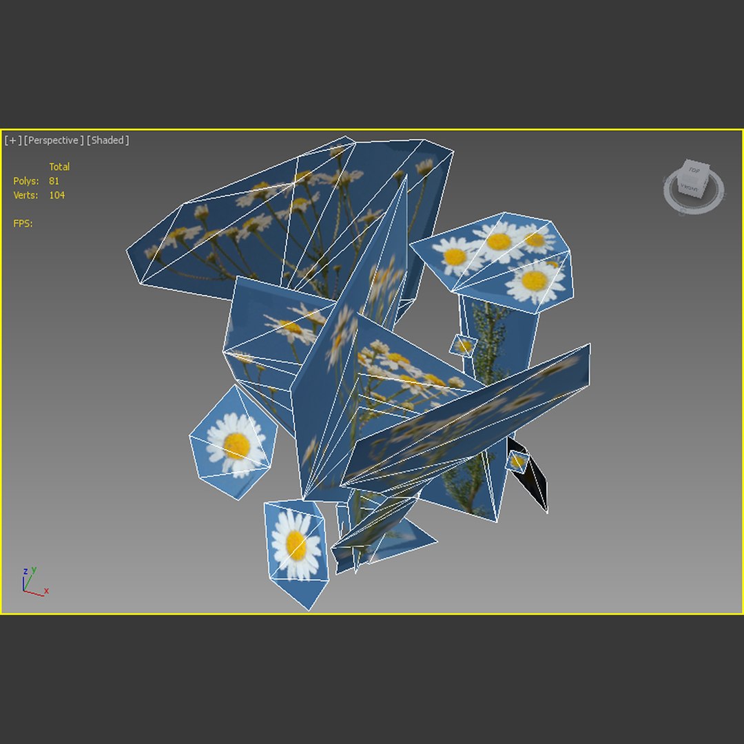 chamomile plant 3D https://p.turbosquid.com/ts-thumb/JT/dIrppK/tTfpgJvS/17/jpg/1602878077/1920x1080/fit_q87/0cb0780fdd2a327095bff12dab2371c0de387fc3/17.jpg