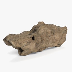 Driftwood 2