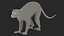 African Animals Rigged for Maya Collection 3D model