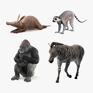 African Animals Rigged for Maya Collection 3D model