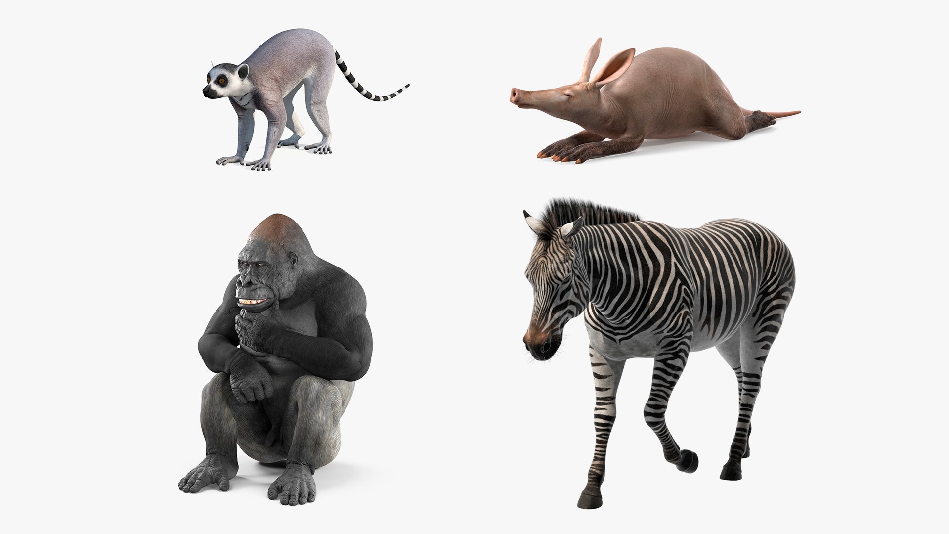 African Animals Rigged for Maya Collection 3D model https://p.turbosquid.com/ts-thumb/JU/HnCDK2/dm/african_animals_rigged_for_maya_collection_001/jpg/1771310542/1920x1080/fit_q87/1bb86d37d42482351e94ed7cd4081c3c417fe256/african_animals_rigged_for_maya_collection_001.jpg