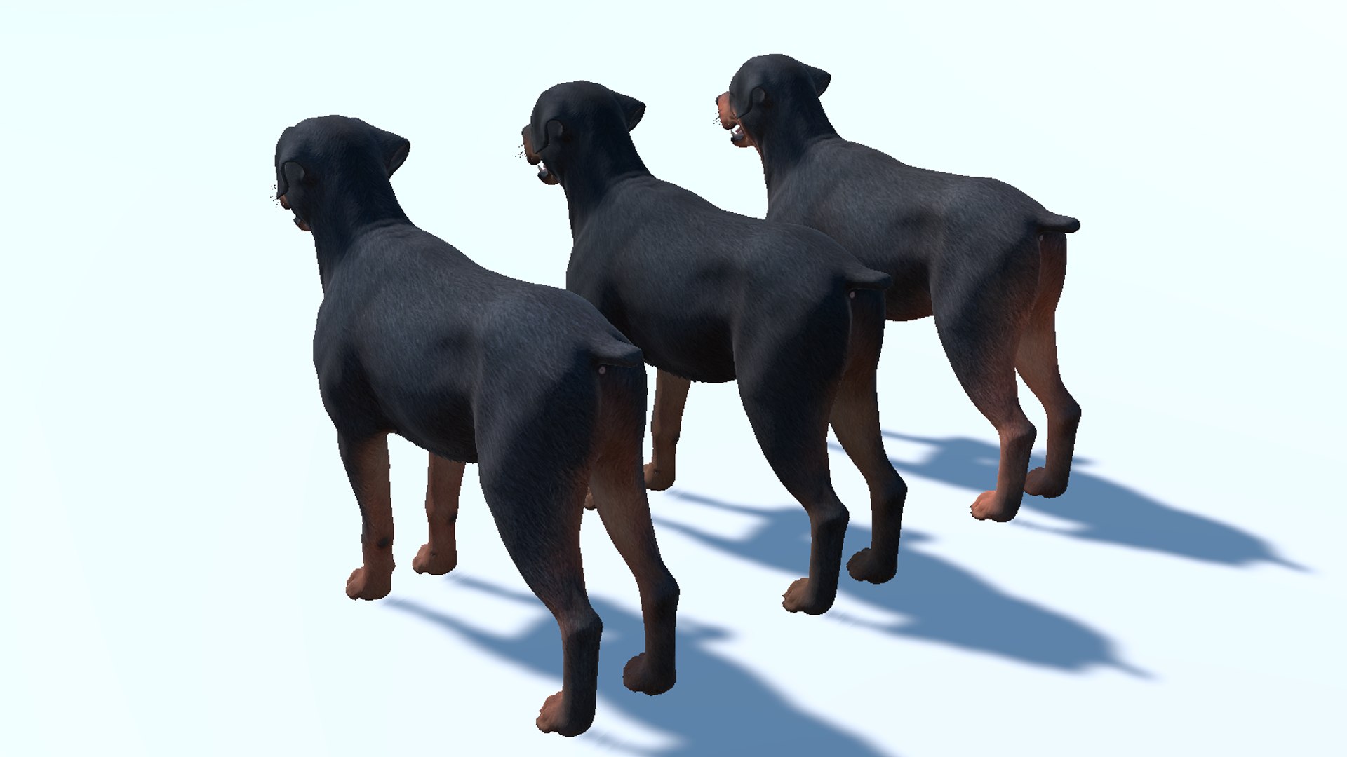 Dog - Rottweiler 3D model https://p.turbosquid.com/ts-thumb/JU/XBN4lM/hM/12/png/1708694836/1920x1080/fit_q87/9c645d1ce8cf8b09c1b366053190a5b9eb49c425/12.jpg