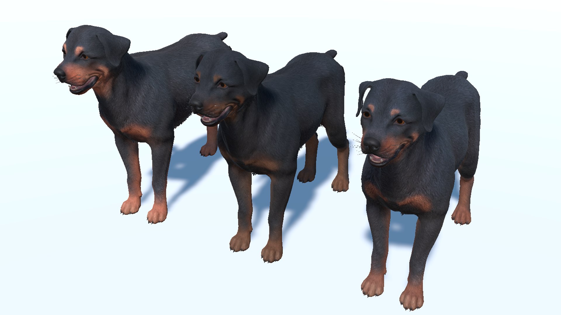 Dog - Rottweiler 3D model https://p.turbosquid.com/ts-thumb/JU/XBN4lM/o2/10/png/1708694834/1920x1080/fit_q87/18b12b8e10ea7c6ff5fe6320e1d387cbe9aa0bac/10.jpg
