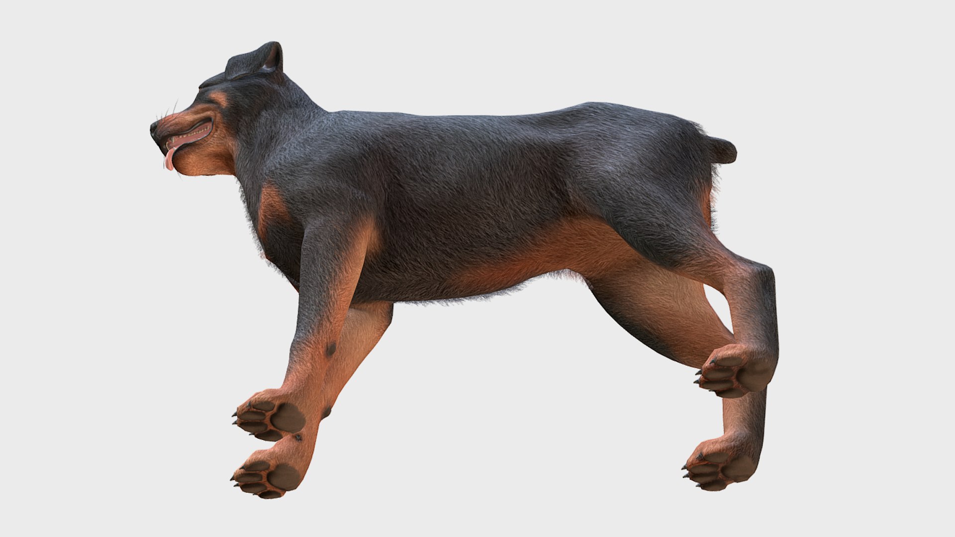 Dog - Rottweiler 3D model https://p.turbosquid.com/ts-thumb/JU/XBN4lM/pa/6/png/1708694829/1920x1080/fit_q87/e8d7d3d9b910f01363aa20fefced2756bb04ef61/6.jpg