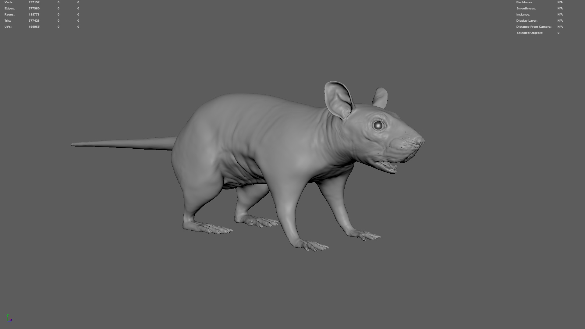 3D Rat Fur Houdini model https://p.turbosquid.com/ts-thumb/JU/j7xucy/xs/ttmodelclean/jpg/1765969640/1920x1080/turn_fit_q99/573f5fce9dcd82406d824cae6e9bcfd9c587c3cc/ttmodelclean-1.jpg