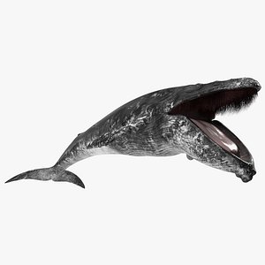 Old Blue Whale Fur Rigged