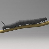 caterpillar
