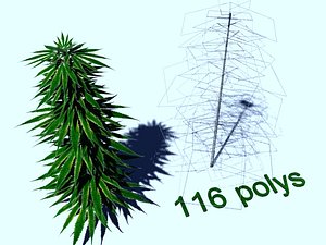 free marijuana bush 3d model