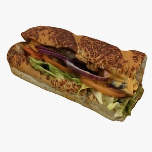 sandwich subway model